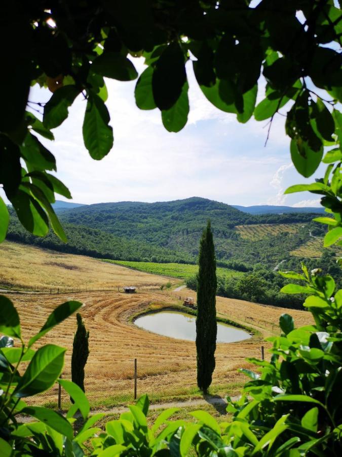 Agriturismo Selvella Allerona Exterior photo