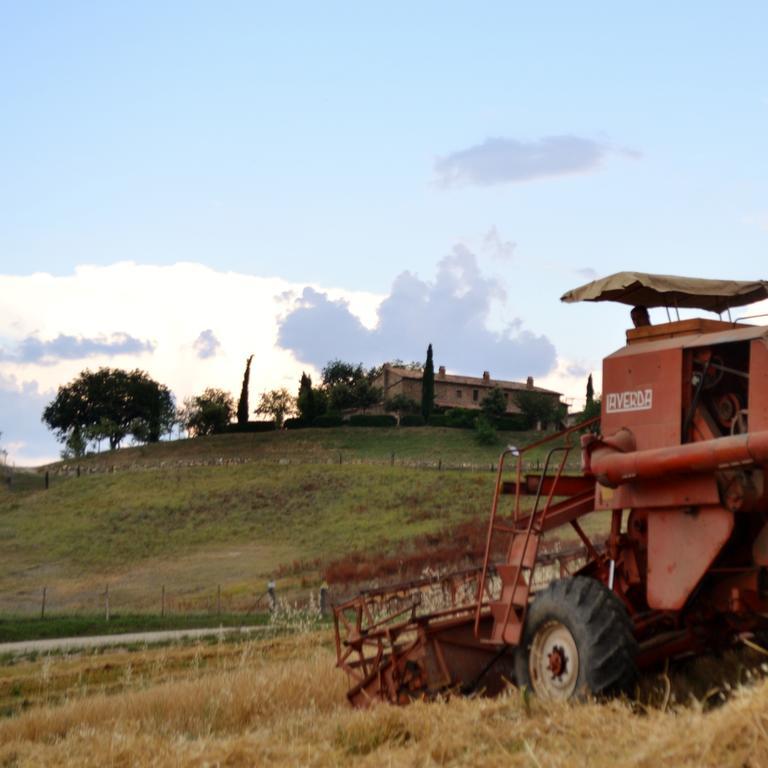 Agriturismo Selvella Allerona Exterior photo
